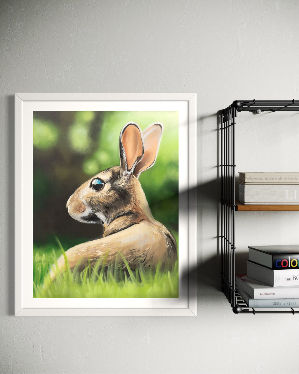 Rabbit