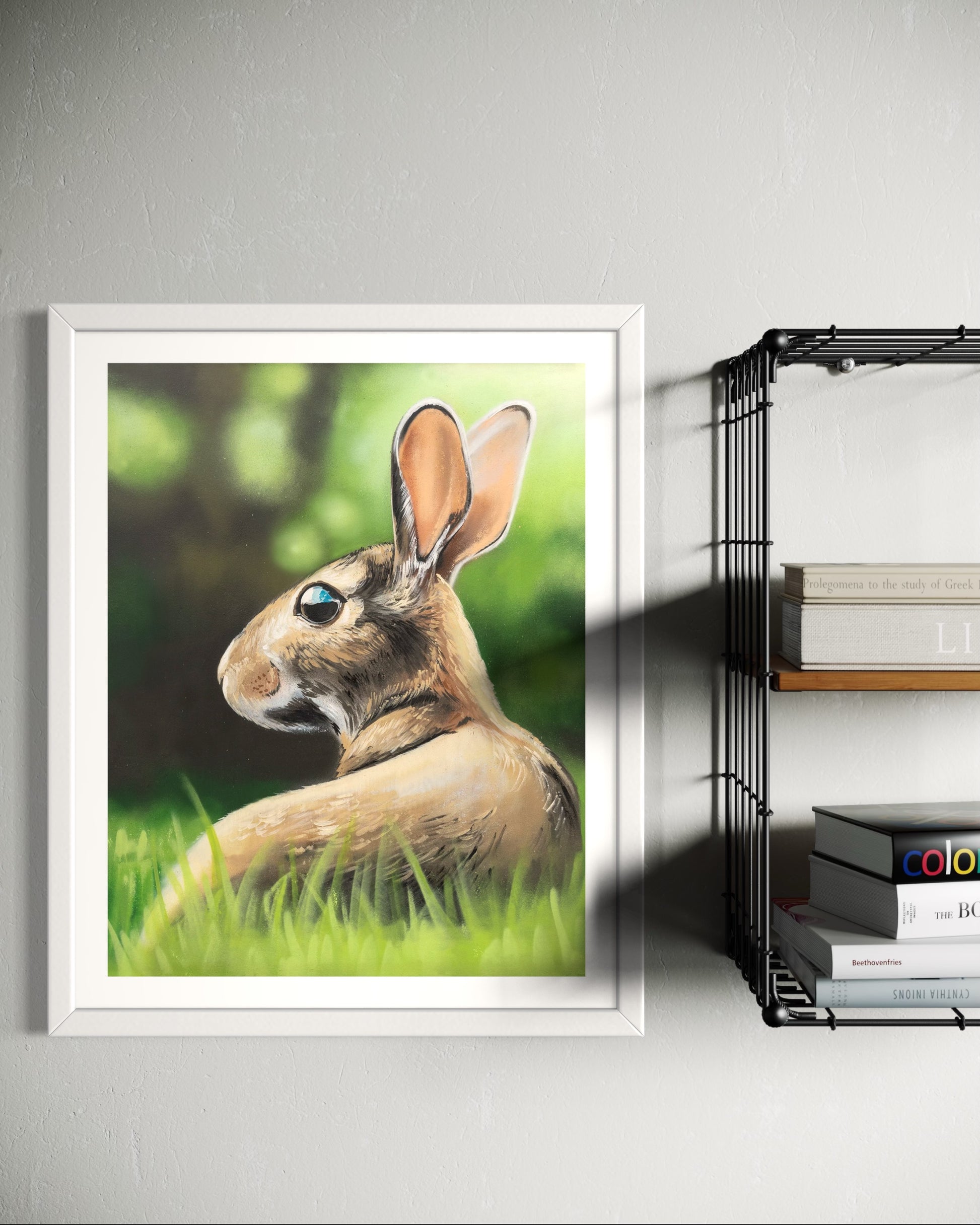 Rabbit