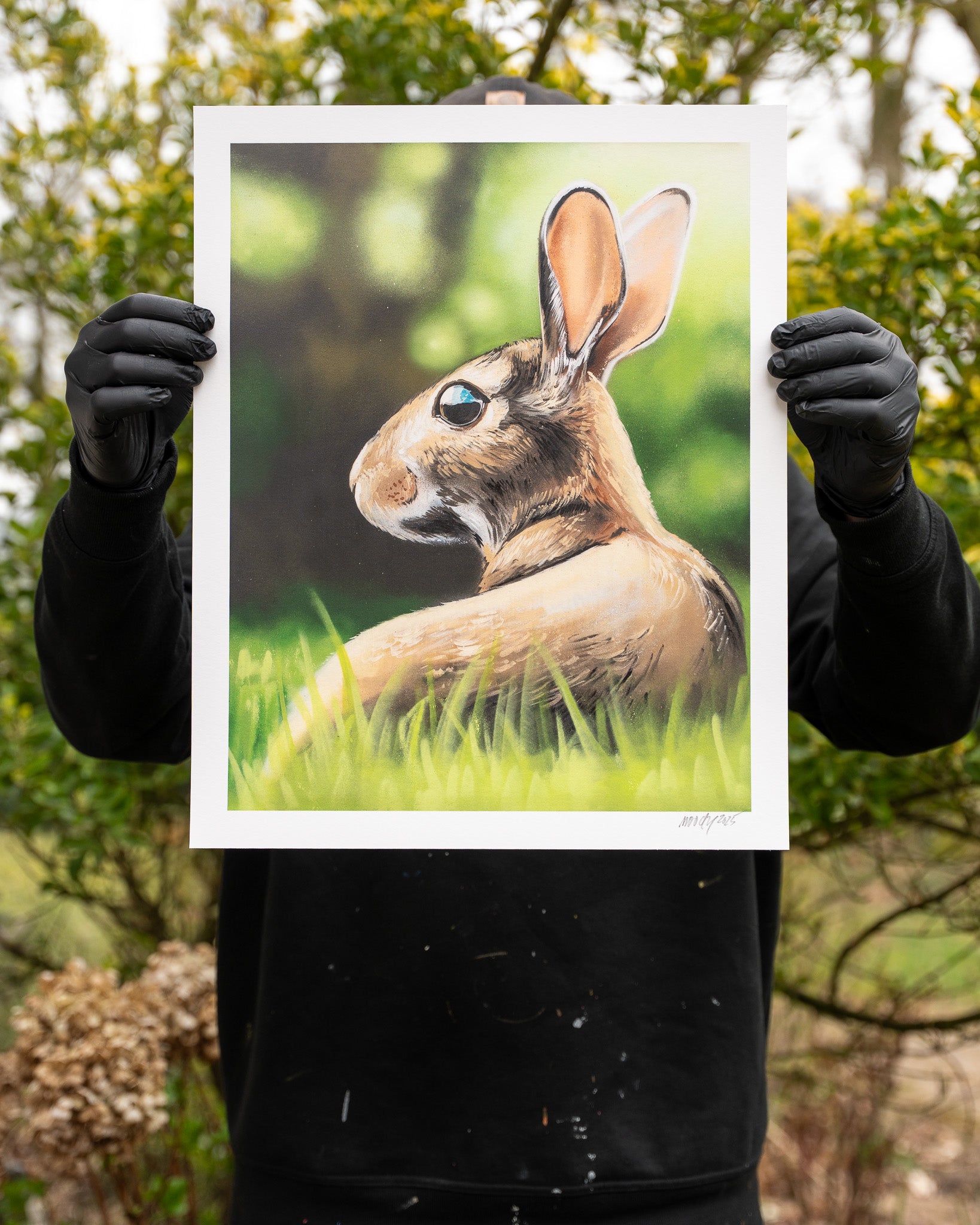 Rabbit