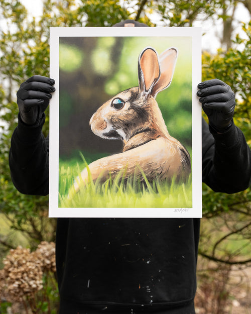 Rabbit